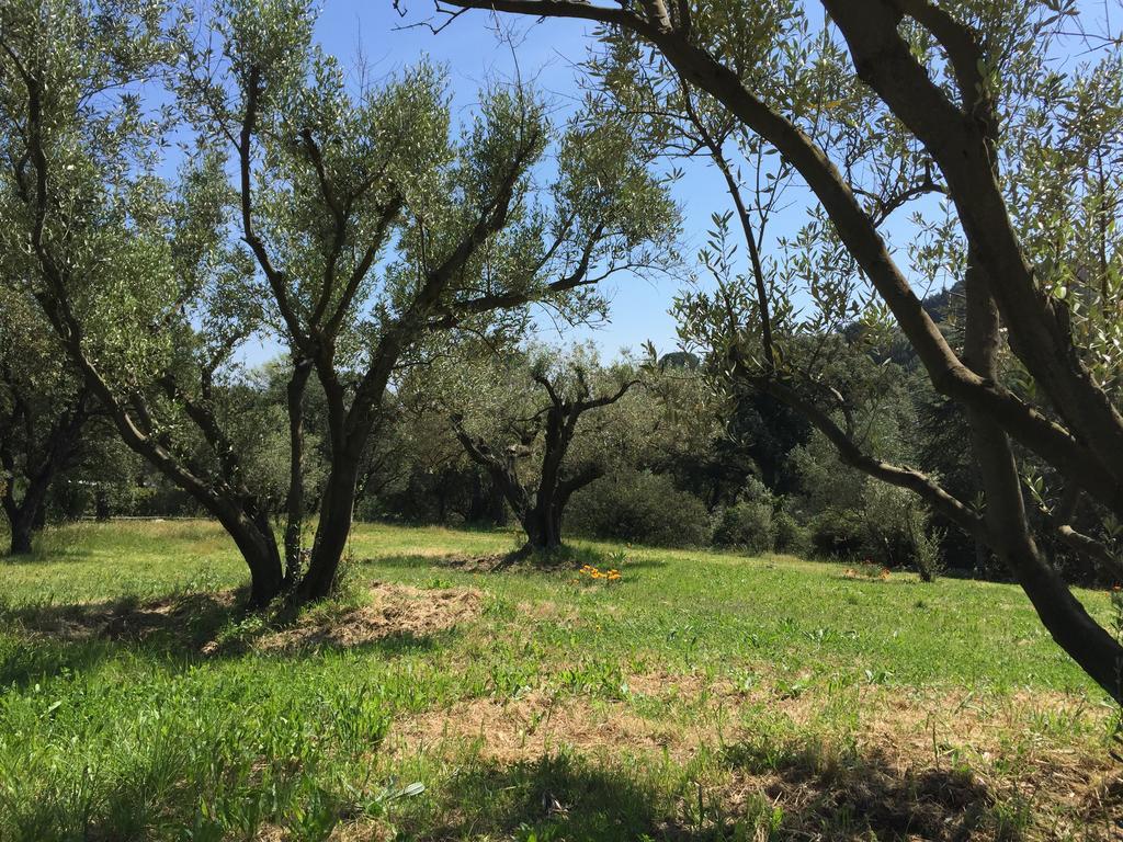 شقة كافالير سور مير  في Domaine Du Mas De Peyres المظهر الخارجي الصورة